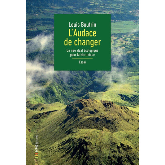 Couverture livre L'audace de changer Auteur Louis Boutrin Éditeur Scitep Édition